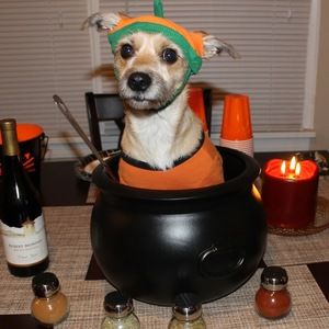 Meet your Posher, Gris